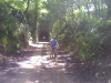 2012-05-26-17