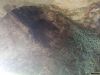IMG_20230910_103835