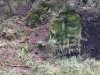 IMG_20240121_093303