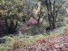 IMG_20240121_093306