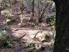 IMG_20240121_093854