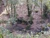 IMG_20240121_093857