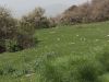 IMG_20240330_111009